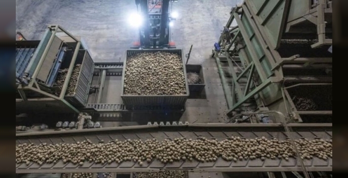 Almanya'da patates rekoltesi krize yol açtı