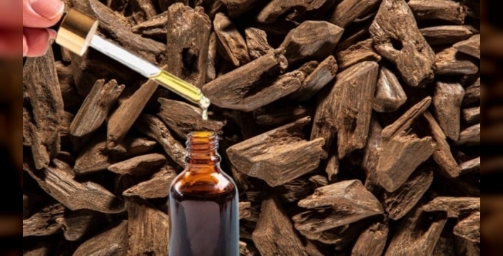 Altın ve elmastan değerli: Kilosu 3,5 milyon lira olan nadir bitkiler