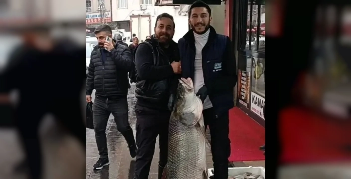 Batman'da 67 kilogramlık dev turna balığı ilgi çekti