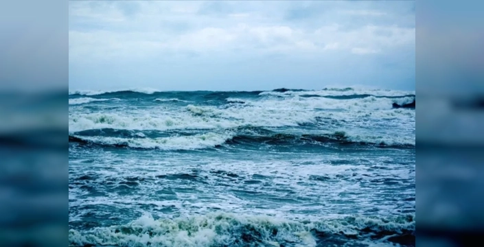 Deniz madenciliği Doğu Pasifik'te ekosistemi tehdit ediyor