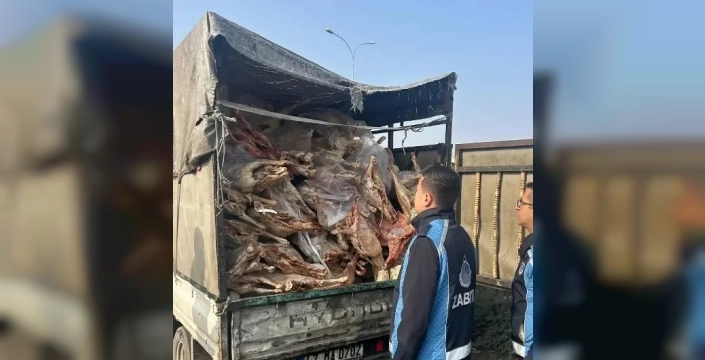 Gaziantep'te korkunç keşif: Tüketime uygun olmayan tonlarca et imha edildi!