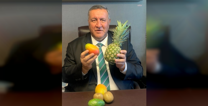 Gürer: Yerli üreticiyi desteklemek şart