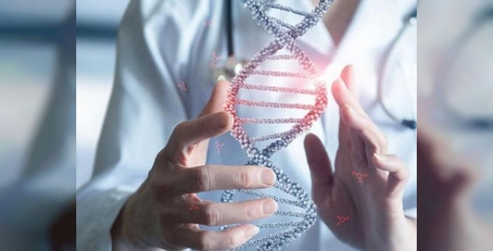 Japon bilim insanları kanseri tamamen yok eden mucizevi bakteri keşfetti