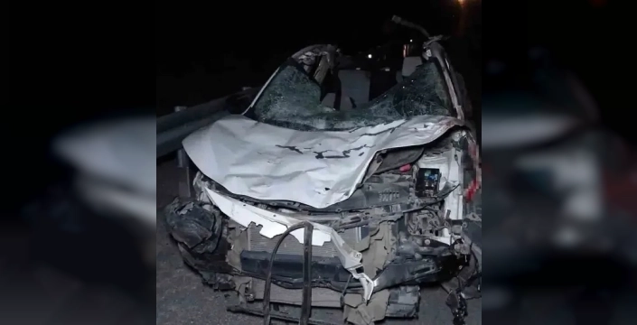 Malatya'da milyonluk taylar karayolunda telef oldu