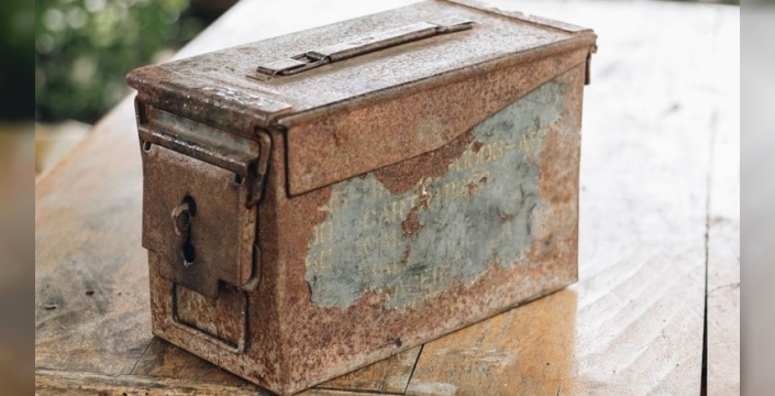 Paslı kutudan 10 milyon dolarlık hazine çıktı: Köpek gezdirirken buldular