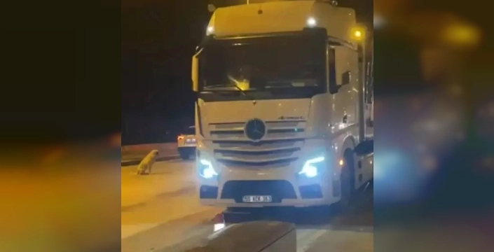 Plakalarını saklayıp kantardan kaçtılar: 6 TIR'a dev ceza!