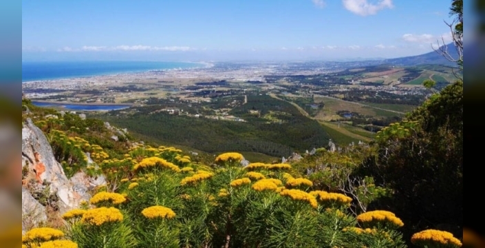 Şili, 'dünyanın en vahşi yeri'ni koruma altına alıyor: Cape Froward milli park oluyor