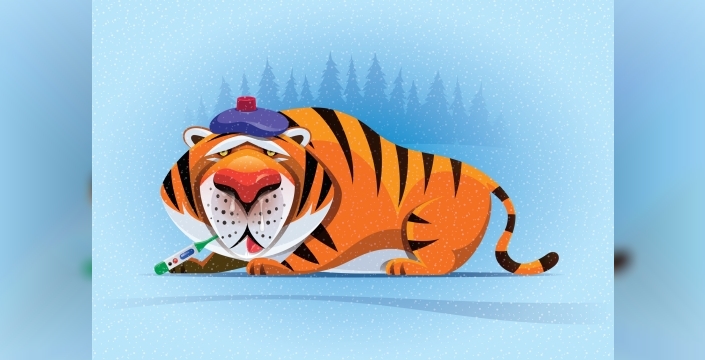 Tiger Global, dikkatli bir girişim geleceği için 2,2 milyar dolarlık yeni fonunu duyurdu