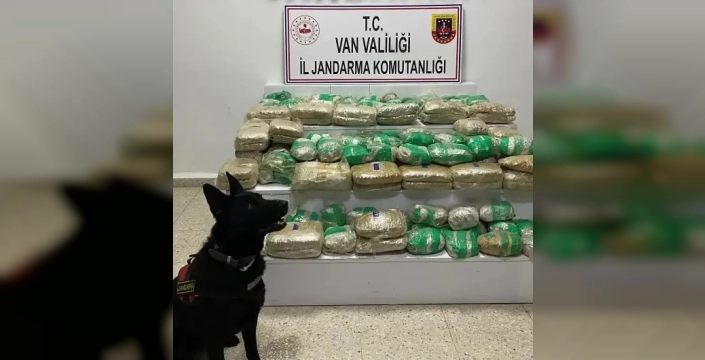 Van'da jandarmadan 51 kilo skunk operasyonu