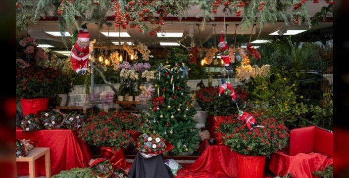 Yılbaşı soflarının vazgeçilmezi kokina bu yıl cep yakacak: Fiyatlar dudak uçuklatıyor!