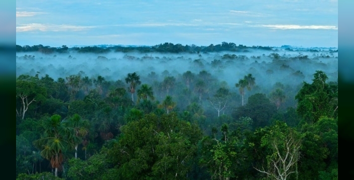 Amazon yağmur ormanları alarm veriyor: 'Hiper-tropikal' iklim, geri dönülemez bir dönüşümün habercisi
