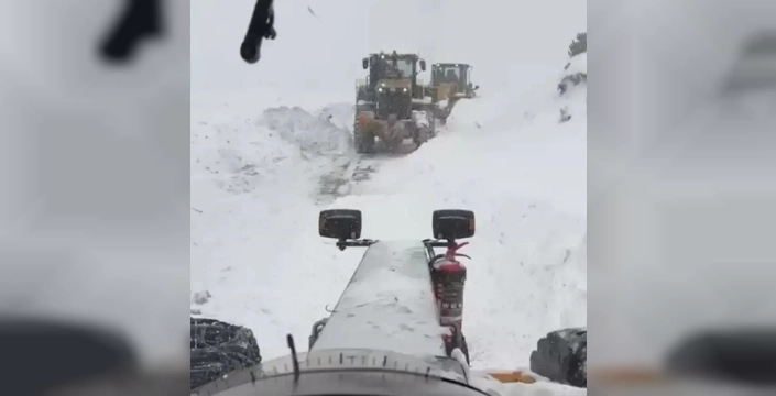 Artvin'de çığ faciası: 3 çoban kayıp, birinin cansız bedenine ulaşıldı