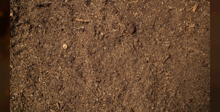 Bilim dünyasını şaşırtan keşif: Elektrikle sıçrayan solucan saniyede 1000 kez dönüyor