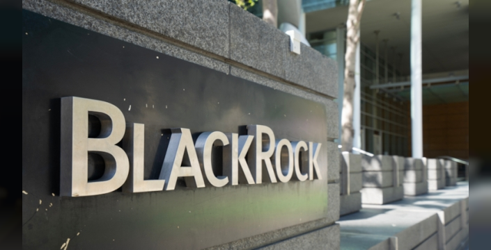 BlackRock, Türkiye borsasına yatırım yapma kararı aldı