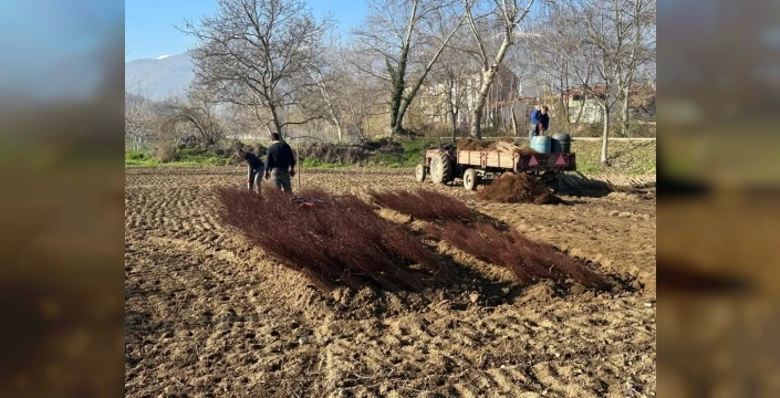 Bursa'nın çöğürleri dünyayı süslüyor: Avrupa'dan Ortadoğu'ya her bahçede bir Cerrah imzası