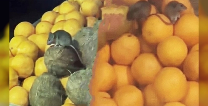 Hollanda'da restoranlara şok baskın: Onlarca işletme kapatıldı