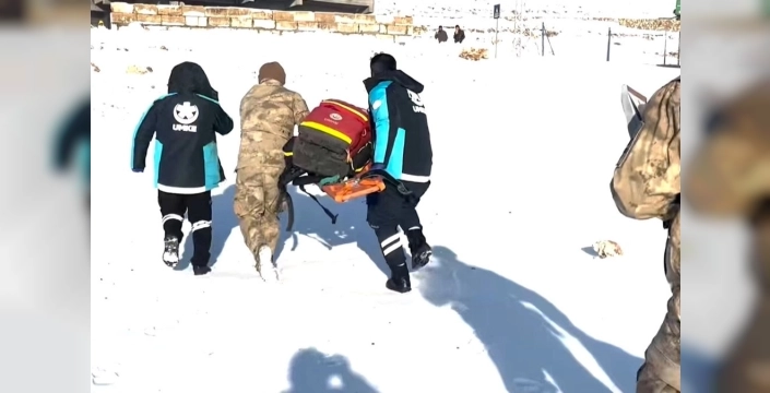 Jandarma helikopteri, Gercüş'te rahatsızlanan vatandaşa hayat kurtaran müdahale yaptı