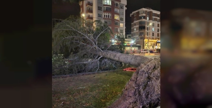 Kayseri için fırtına alarmı: Çatı uçması, çığ tehlikesi ve ulaşımda aksamalar kapıda!