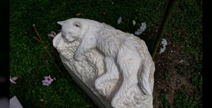 Kedisi için yas izni alan çalışana tazminat ödemesi kararı