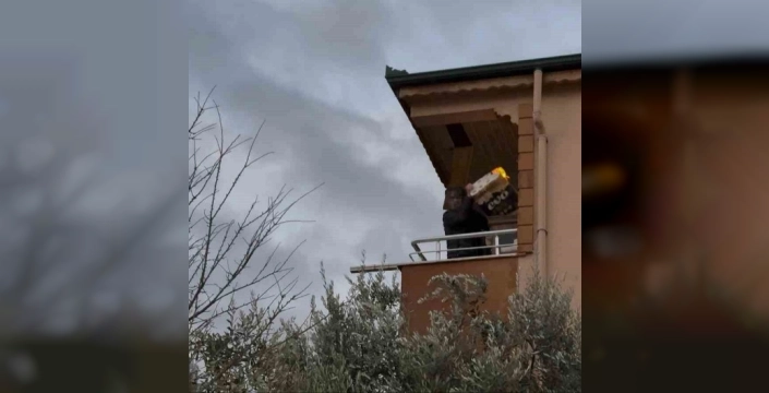 Lodosun etkisiyle alevler komşu binaya sıçradı: Balkondaki alevli eşyaları aşağı attı