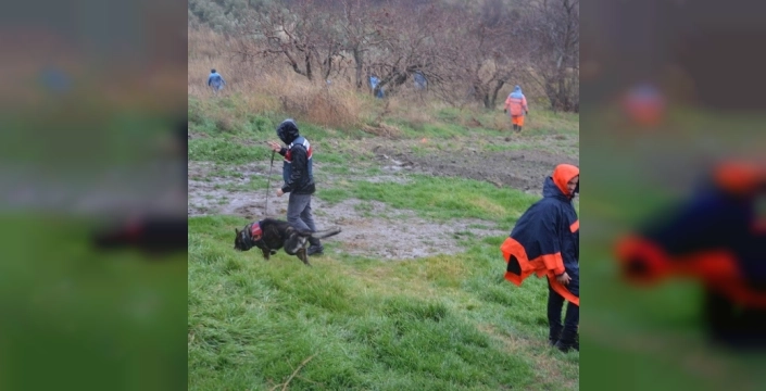 Manisa'da kayıp kadını bulmak için kadavra ve iz köpekleri seferber oldu