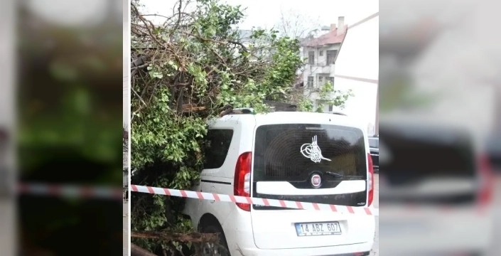 Metruk bina park halindeki aracın üzerine çöktü, araç sahibi isyan etti