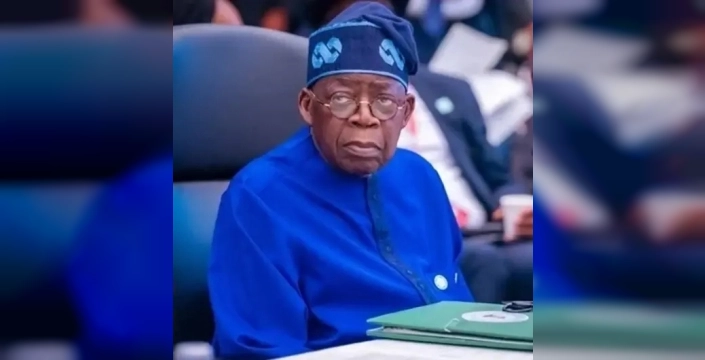 Nijerya Devlet Başkanı Tinubu Türkiye'ye geliyor: İki ülke arasında tarihi işbirliği adımları atılacak