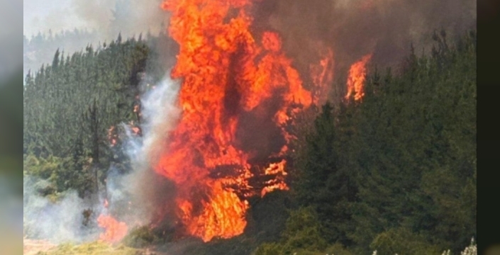 Şili'yi yutan alevler: OHAL ilan edildi, ordu dağlarda!