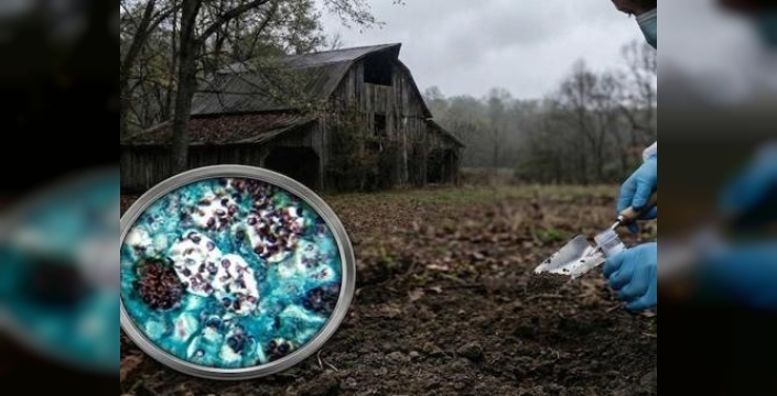 Tennessee'de gizemli mantar salgını: 36 vaka ve bir ölüm şüphesi paniğe yol açtı