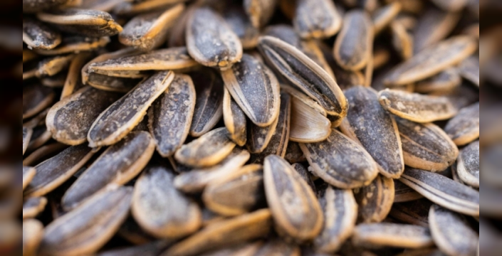 Ünlü çekirdek markası geri çağrılıyor: Sağlık riski tespit edildi