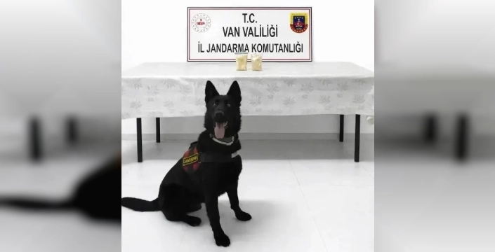 Van'da yolcu minibüsünde şok operasyon: İranlı şüphelinin üzerinde 510 gram eroin çıktı