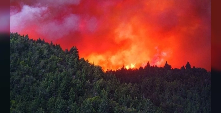 Yangınlar sürerken Arjantin başkanı eğlence peşinde