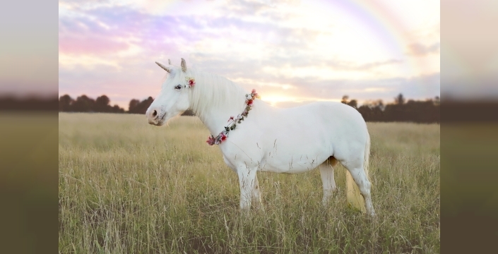 2026'nın yeni Avrupa unicornları tanıtıldı