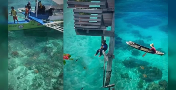 Haritası olmayan halk: Bajau'ların denizdeki sınırsız yaşamı ve şaşırtan biyolojik evrimi