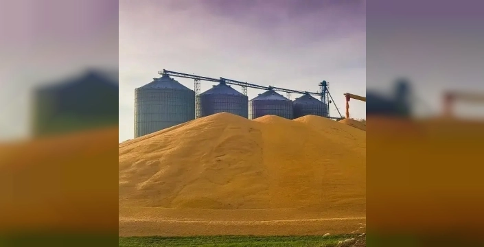 Şanlıurfa'da mısır dolu siloya düşen işçi hayatını kaybetti
