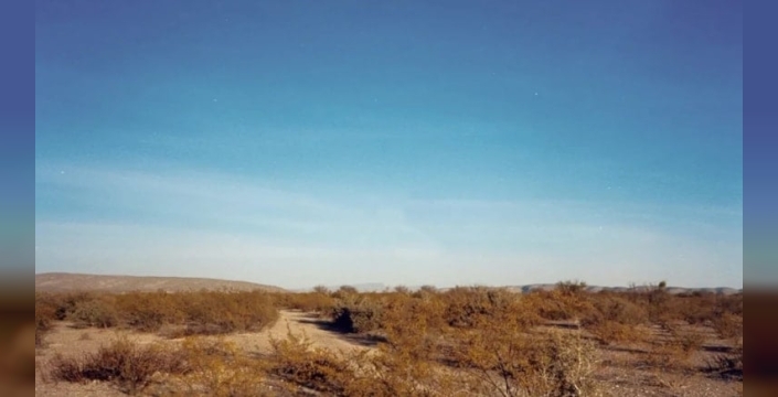 Sessizlik Bölgesi: Dünya ile bağlantınızın kesilebileceği gizemli yer