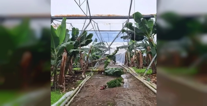 TARSİM, Antalyalı üreticilere 586 milyon lira hasar ödemesi yapacak