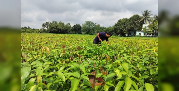 Varaha, karbon azaltımını ölçeklendirmek için 20 milyon dolar yatırım aldı