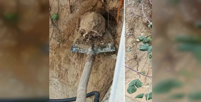 Fidan dikerken dehşet: Bahçeden insan kafatası ve kemikler çıktı!
