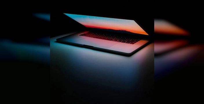 İnterpol, aşk dolandırıcılığı yapan binlerce IP'yi çökertti