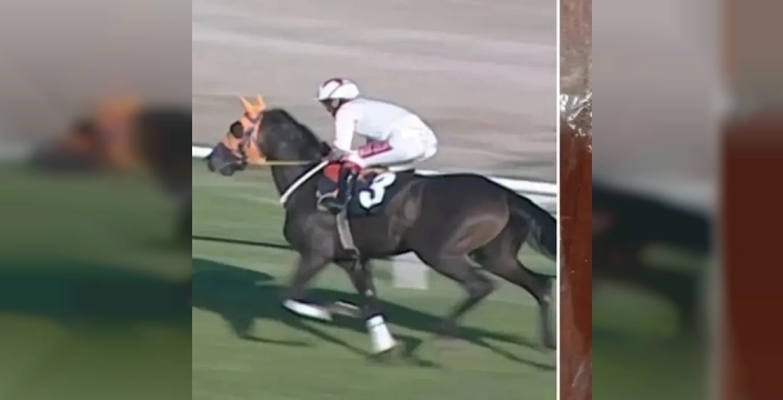 Şok İddia: CHP'li Belediyenin Aşevinde Yarış Atı Eti Mi Dağıtıldı?