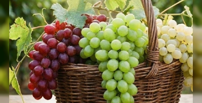 Üzüm üretiminde Türkiye, devler liginde! İşte o rakamlar...