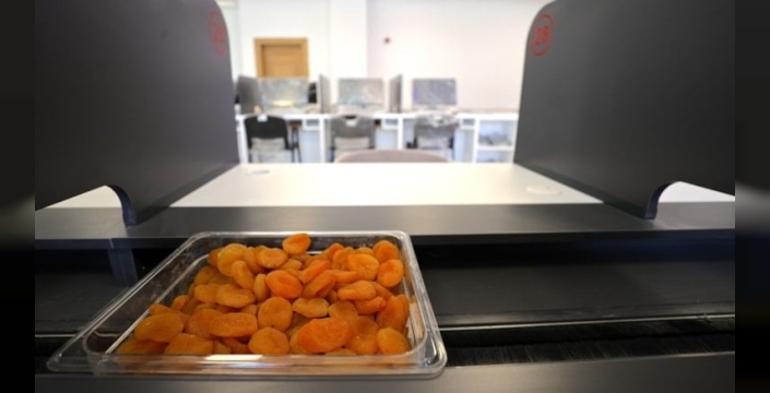 Malatya kayısısında mezat dönemi başlıyor