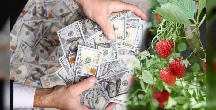 Milyoner sayısı rekor kırdı, ama gerçek zenginlik hâlâ uzak